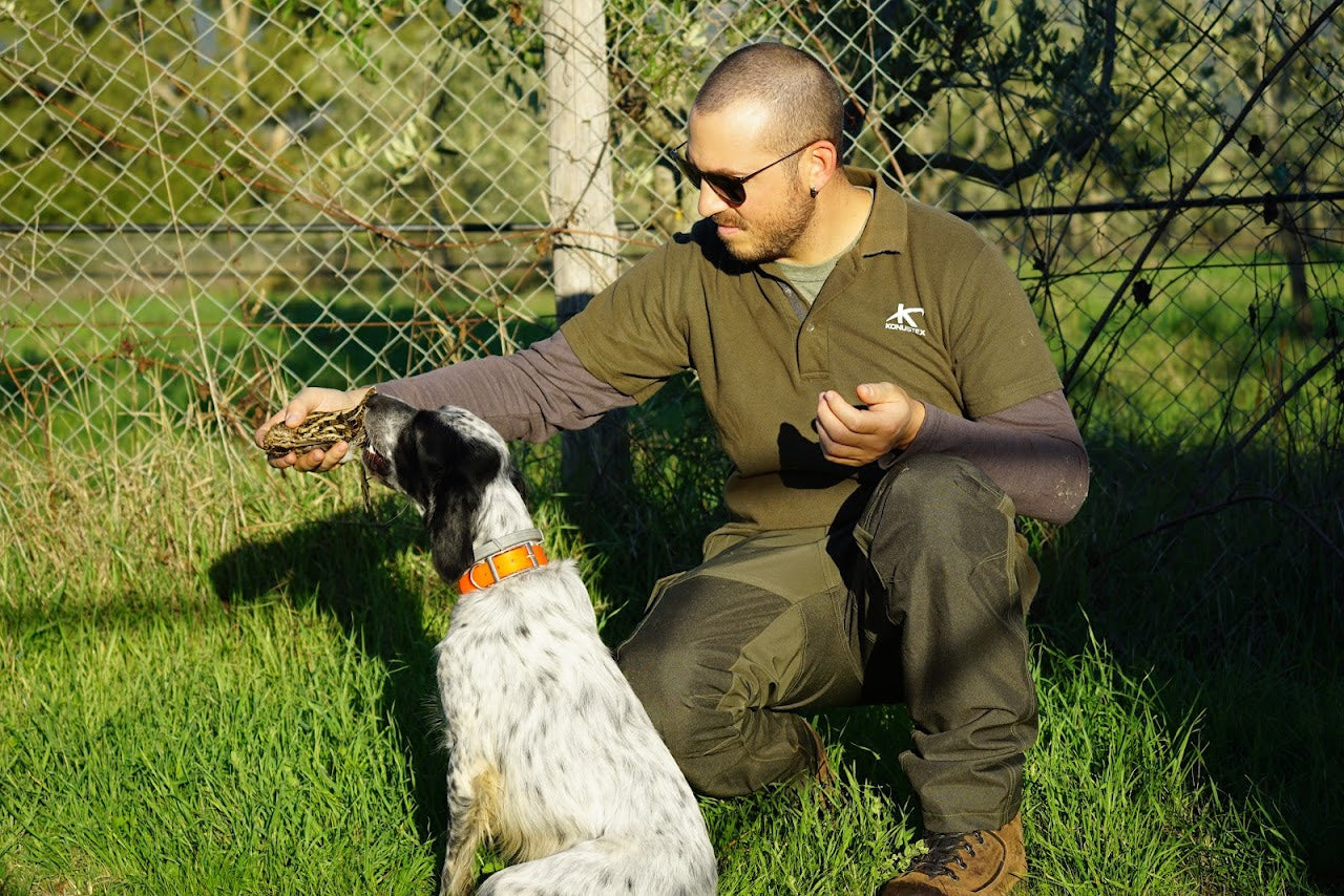 ANA - KONUSTEX UNITARY T-shirt POLO Maglia Polo Verde maniche corte